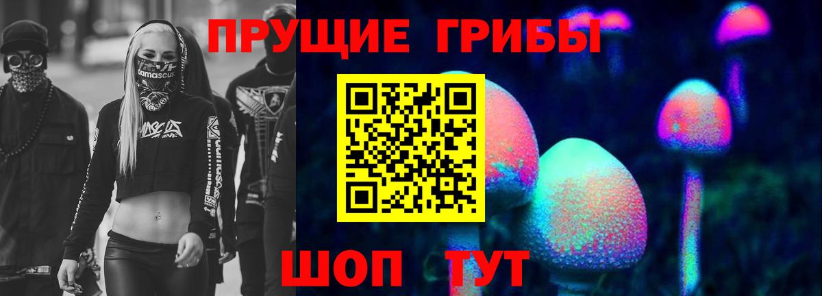 Псилоцибиновые грибы Psilocybine cubensis  Псилоцибиновые грибы Psilocybine cubensis  Карачаевск  Вход с VPN 