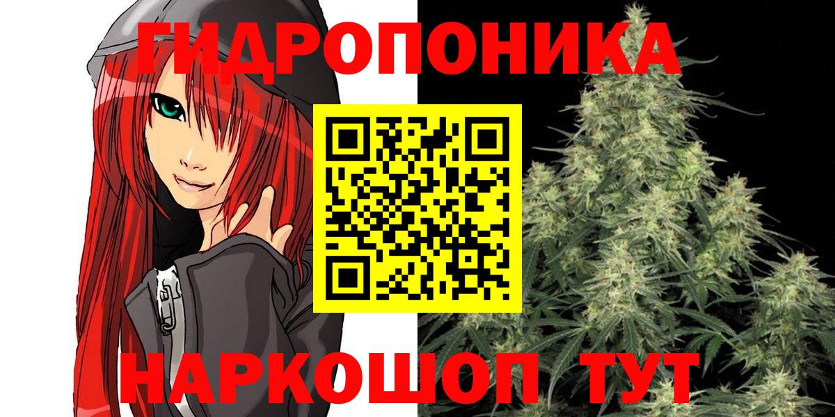Шишки марихуана индика Карачаевск